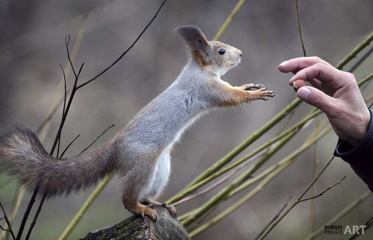 �� �� �������� ���� �������! ����� ������ ������� �� PhotoGeek.ru #�������� ��� #������ ��� ������� #����� ��� ��� ���������