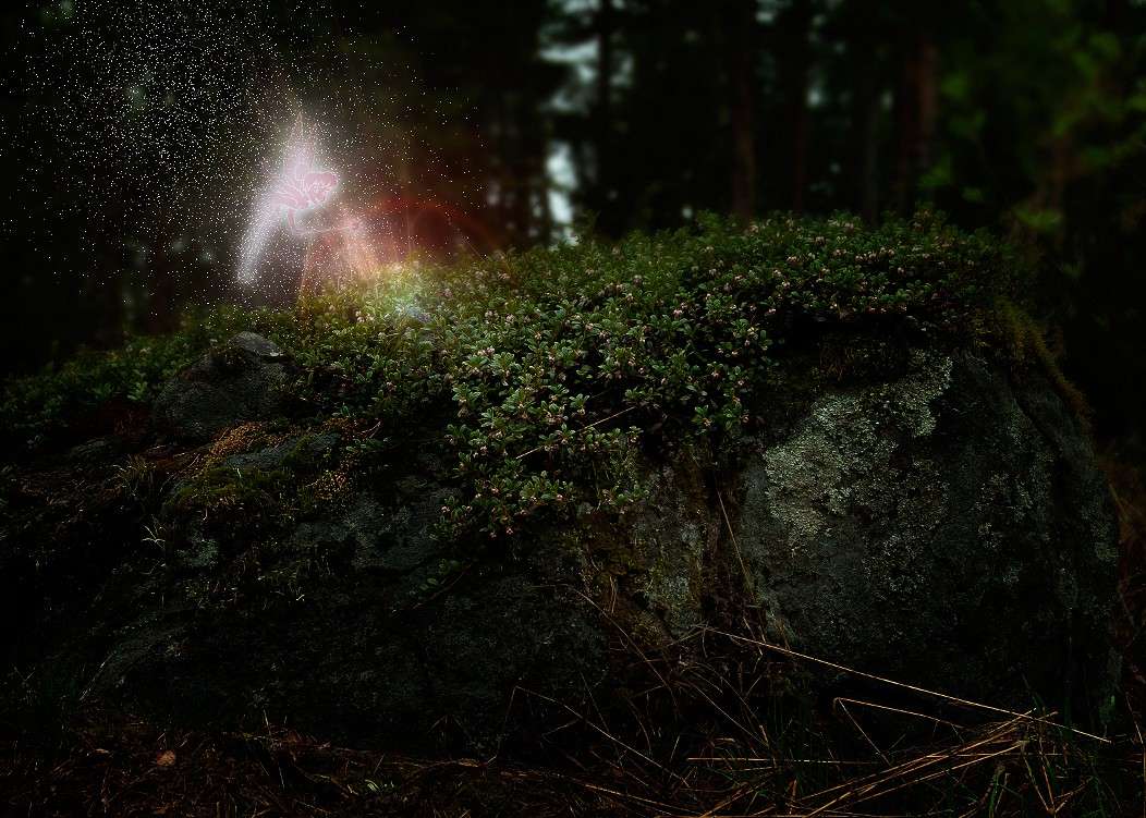 ������ ����� ������ ������� �� PhotoGeek.ru #������ ��� ������� #���-����������� #����� �������������� #������������