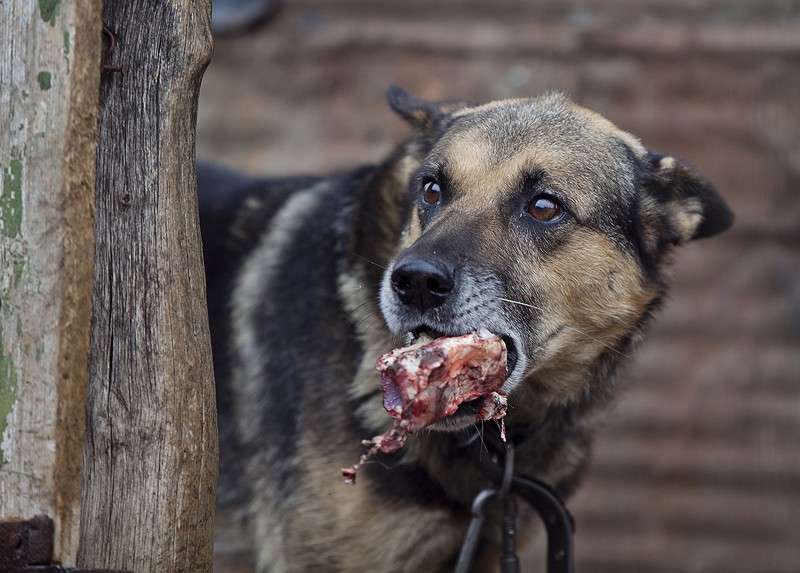 ������� ������� ����� ������ ������� �� PhotoGeek.ru #�������� ��� #�������� ���