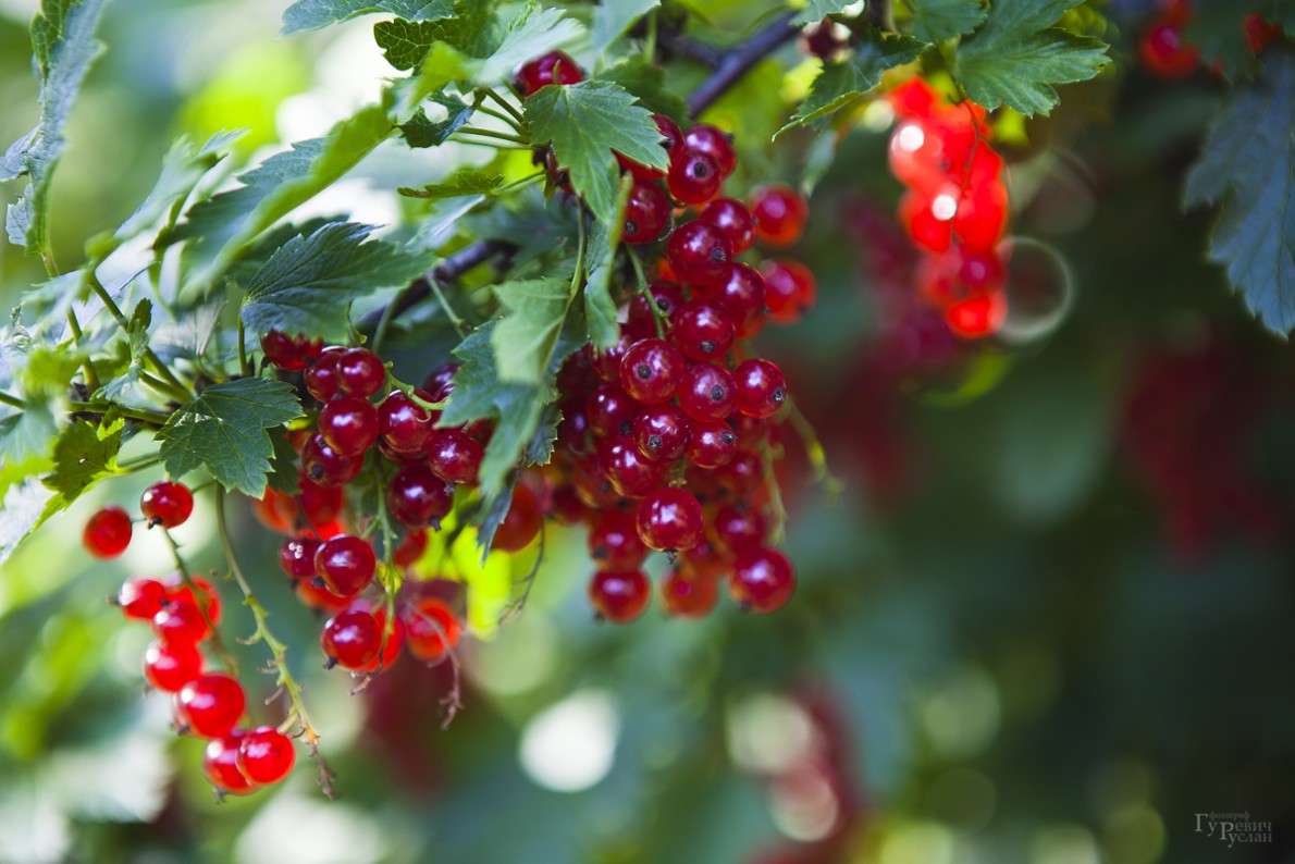 ��� ������� ���������! ����� ������ ������� �� PhotoGeek.ru #������ ��� ������� #����� ��������������