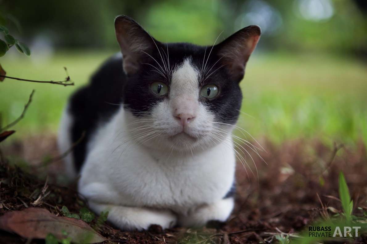 ����� � ����� ����� ������ ������� �� PhotoGeek.ru #�������� ��� #����� ��� ��� ��������� #�������� ���