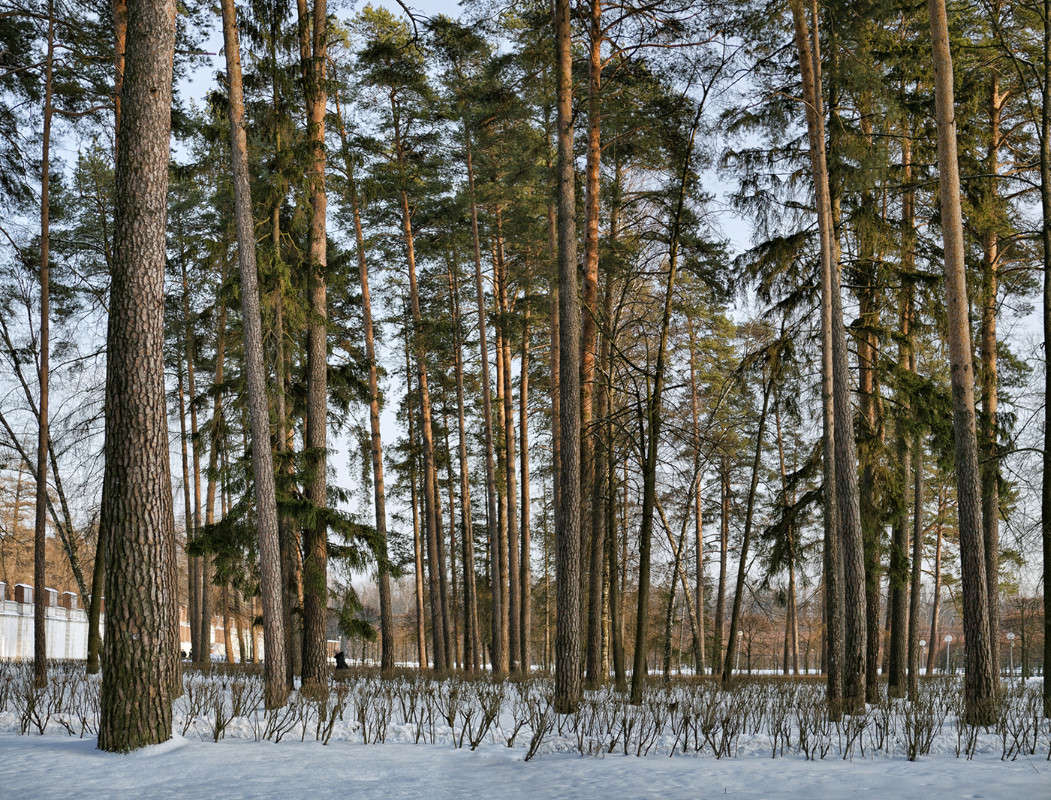 ����� ����� ������ ������� �� PhotoGeek.ru #������ ��� �������