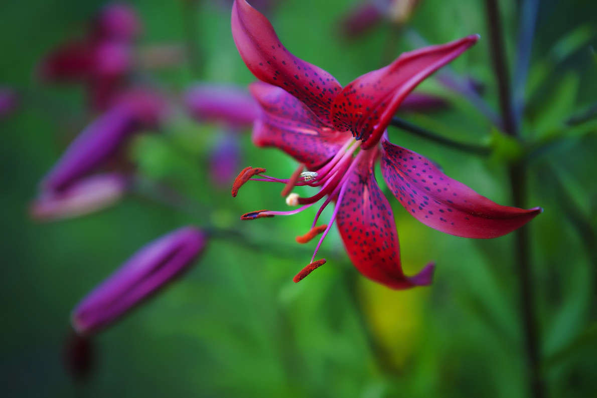 ����� ����� ������ ������� �� PhotoGeek.ru #������ ��� ������� #����� ��������������