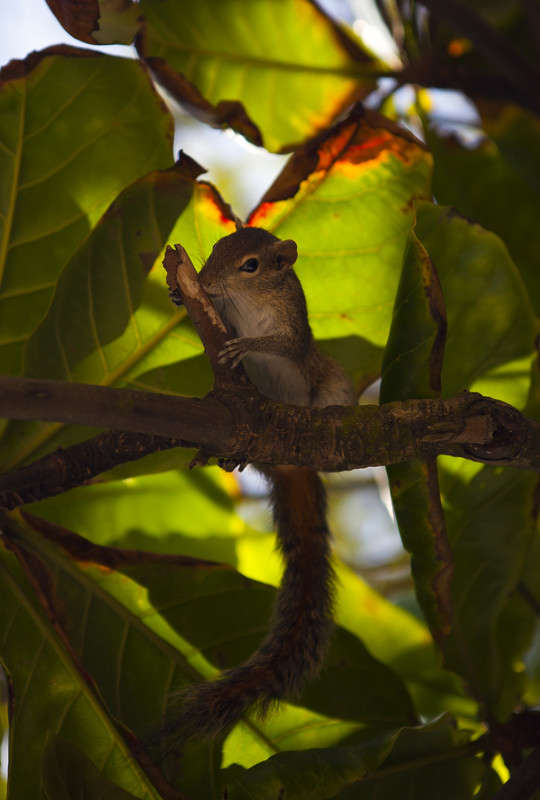 ���������� ����� ������ ������� �� PhotoGeek.ru #�������� ��� #������ ��� ������� #����� ��� ��� ��������� #����� ��������������