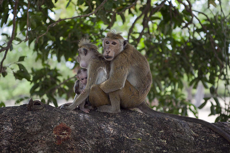 ����� ����� ������ ������� �� PhotoGeek.ru #�������� ��� #����� ��� ��� ���������