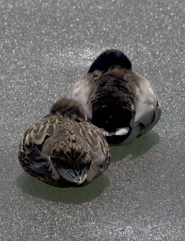 ���� ����� ������ ������� �� PhotoGeek.ru #�������� ��� #����� ��� ��� ���������