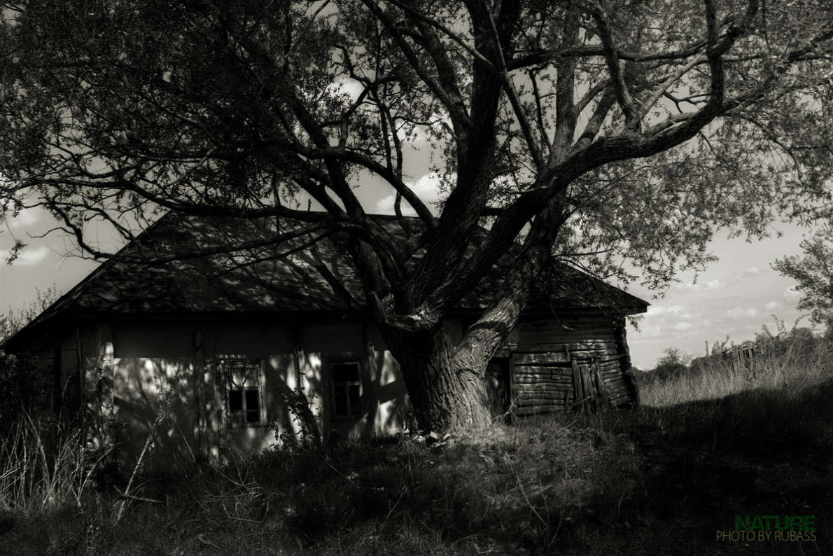 ��� ����� ������ ������� �� PhotoGeek.ru #������ ��� ������� #�����-�����