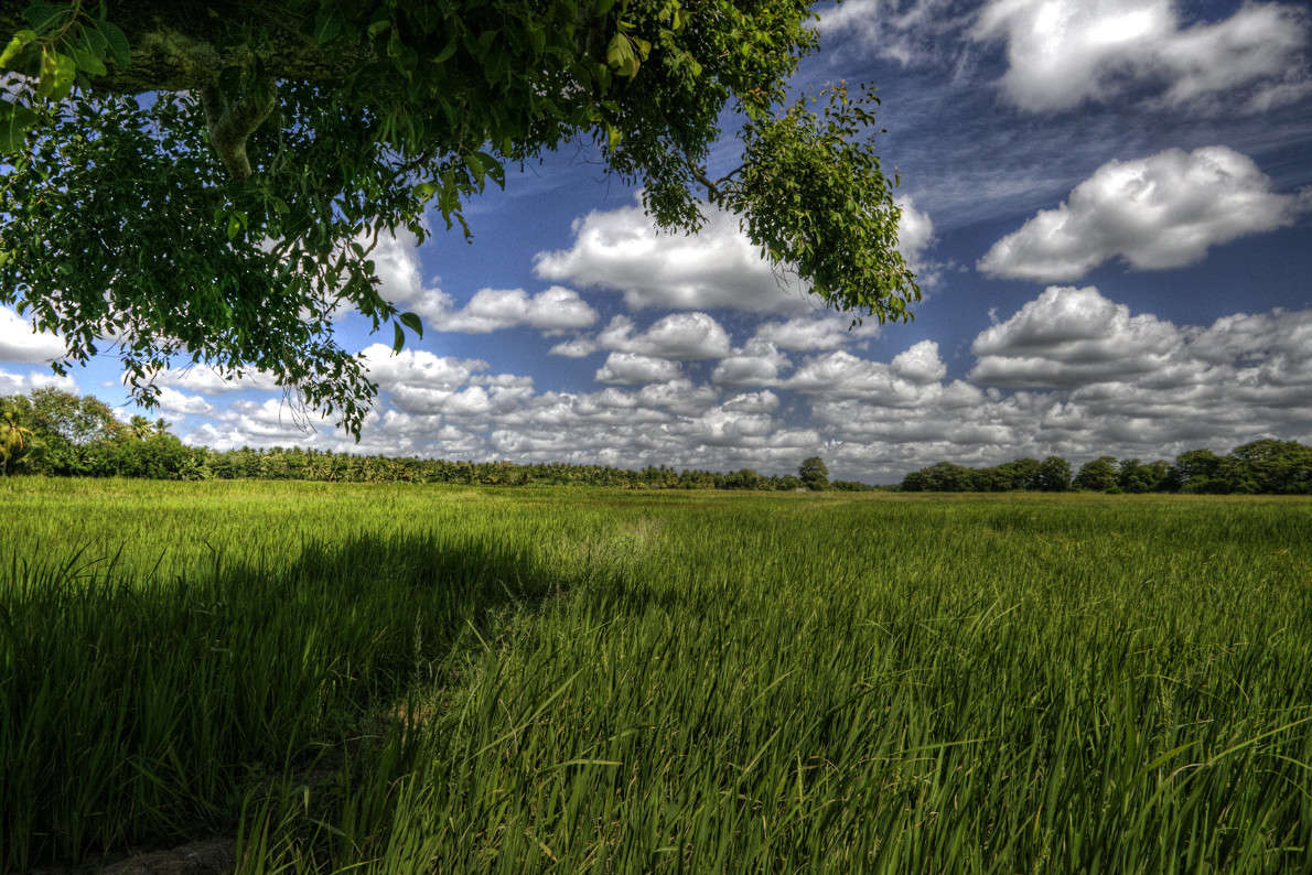 ���� ����� ������ ������� �� PhotoGeek.ru #������ ��� ������� #��������