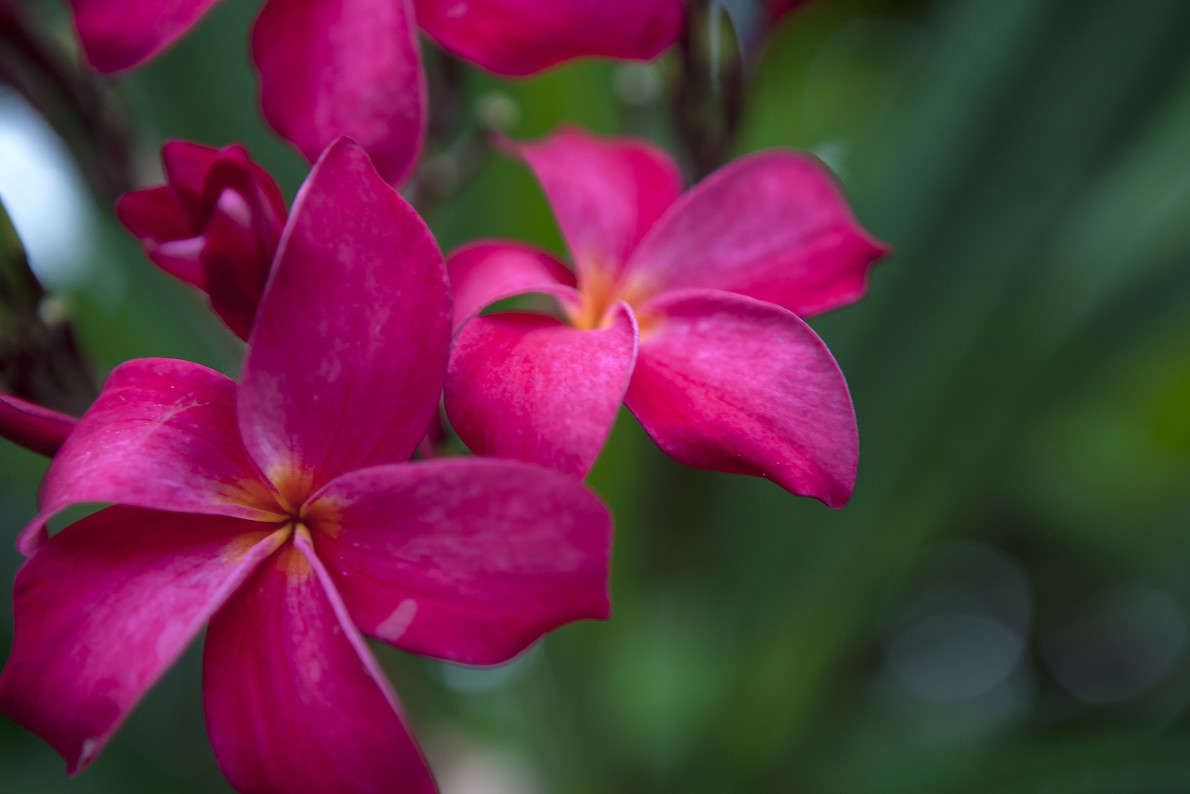 ����� ����� ������ ������� �� PhotoGeek.ru #������ ��� �������