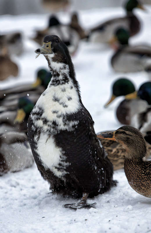 ���� ����� �����, ����� ����� ����� ����� ������ ������� �� PhotoGeek.ru #�������� ��� #����� ��� ��� ���������