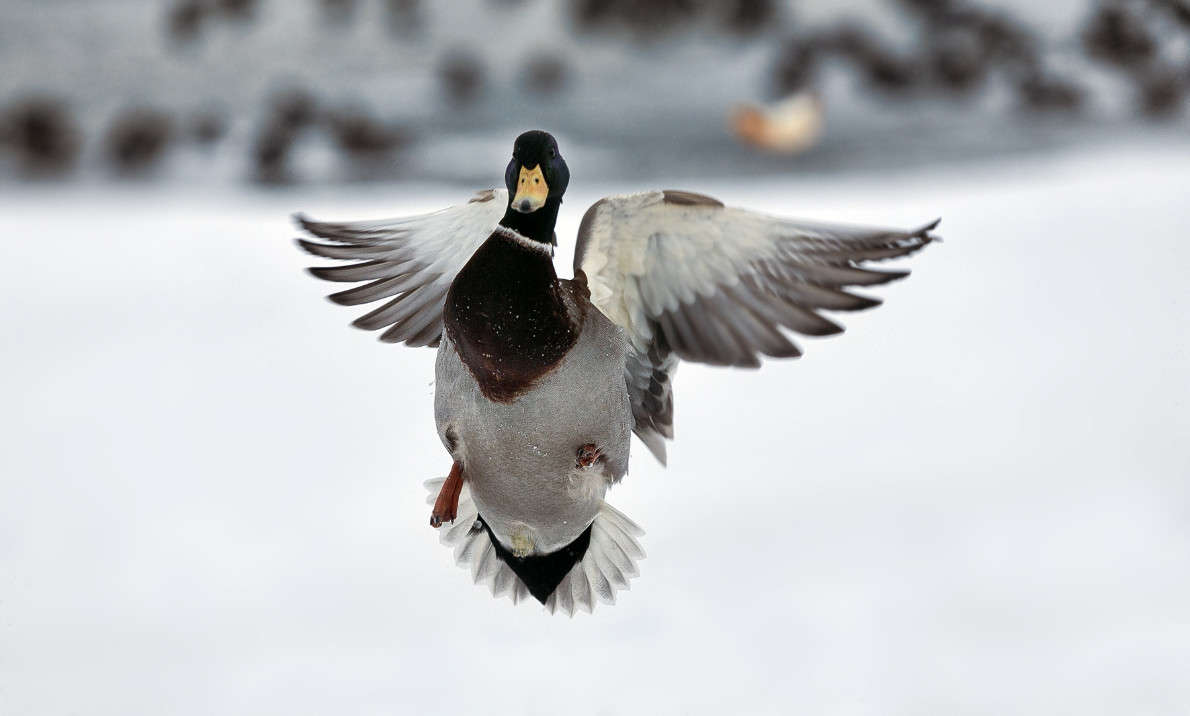 � ���������! ����� ������ ������� �� PhotoGeek.ru #�������� ��� #����� ��� ��� ���������