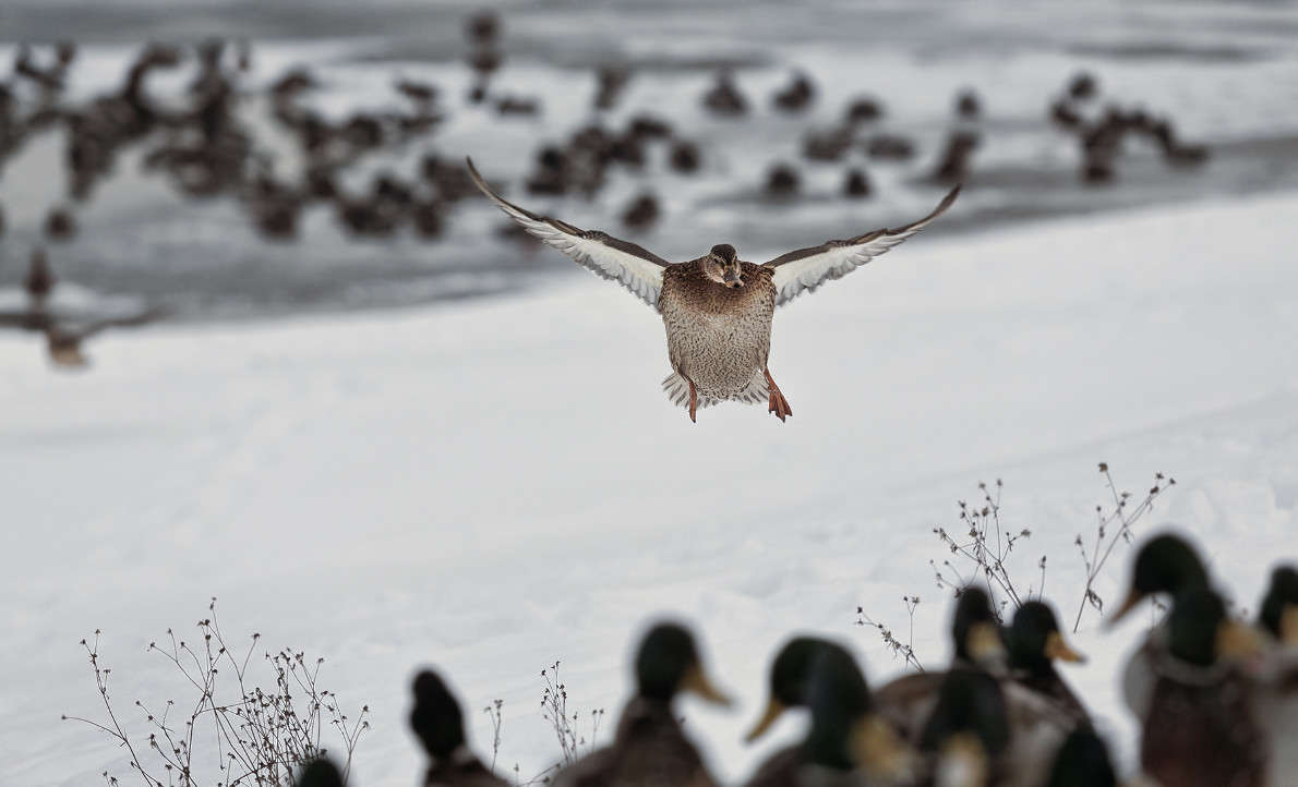 ������ �� �������, ���������! ����� ������ ������� �� PhotoGeek.ru #�������� ��� #����� ��� ��� ���������