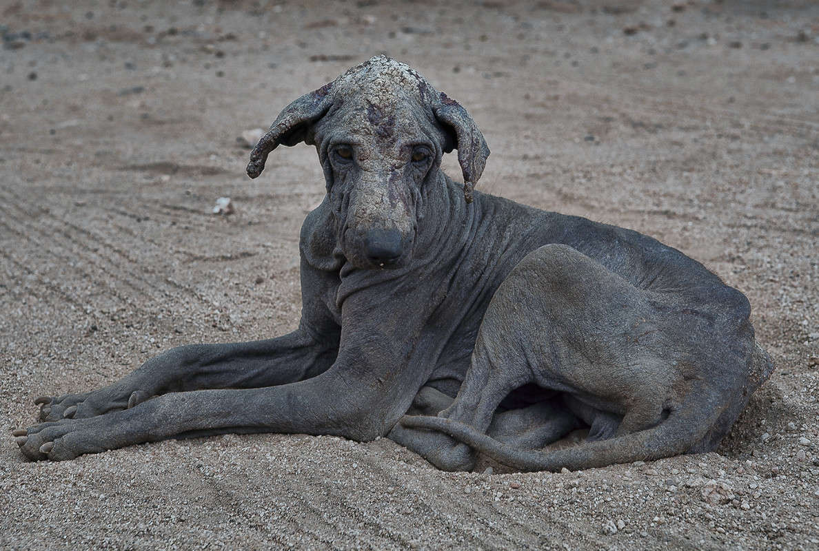 ������ ����� ������ ������� �� PhotoGeek.ru #�������� ��� #����� ��� ��� ���������