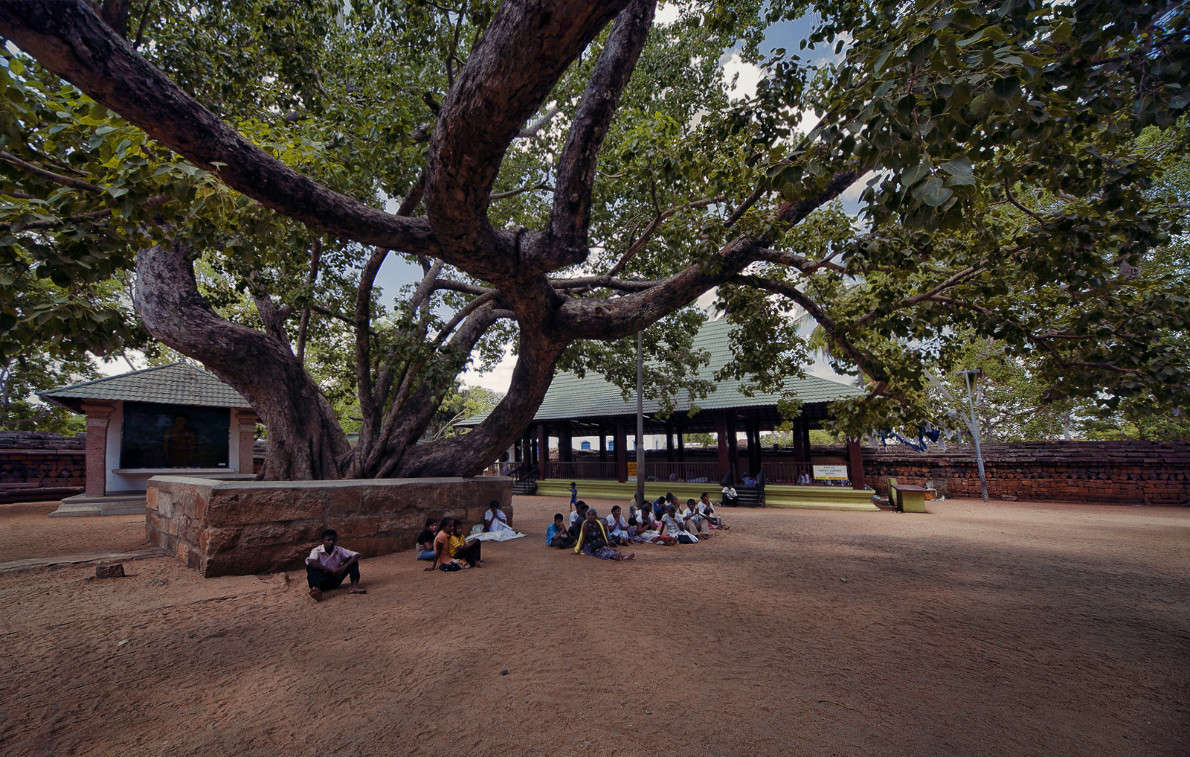 � �������� ����� ������ ������� �� PhotoGeek.ru #������ ��� ������� #����� ��������