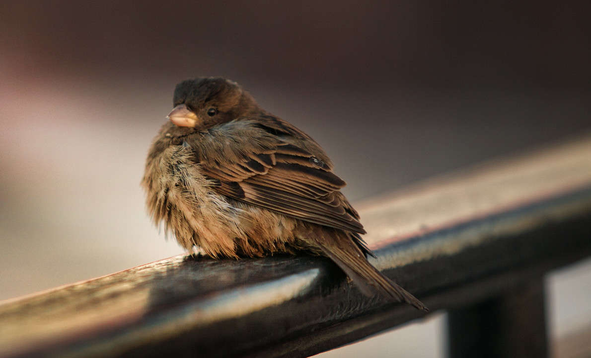 ���� �������!? �����! ����� ������ ������� �� PhotoGeek.ru #�������� ��� #����� ��� ��� ���������