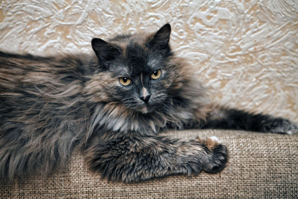 �������� ����� ������ ������� �� PhotoGeek.ru #�������� ��� #������� #�������� ���