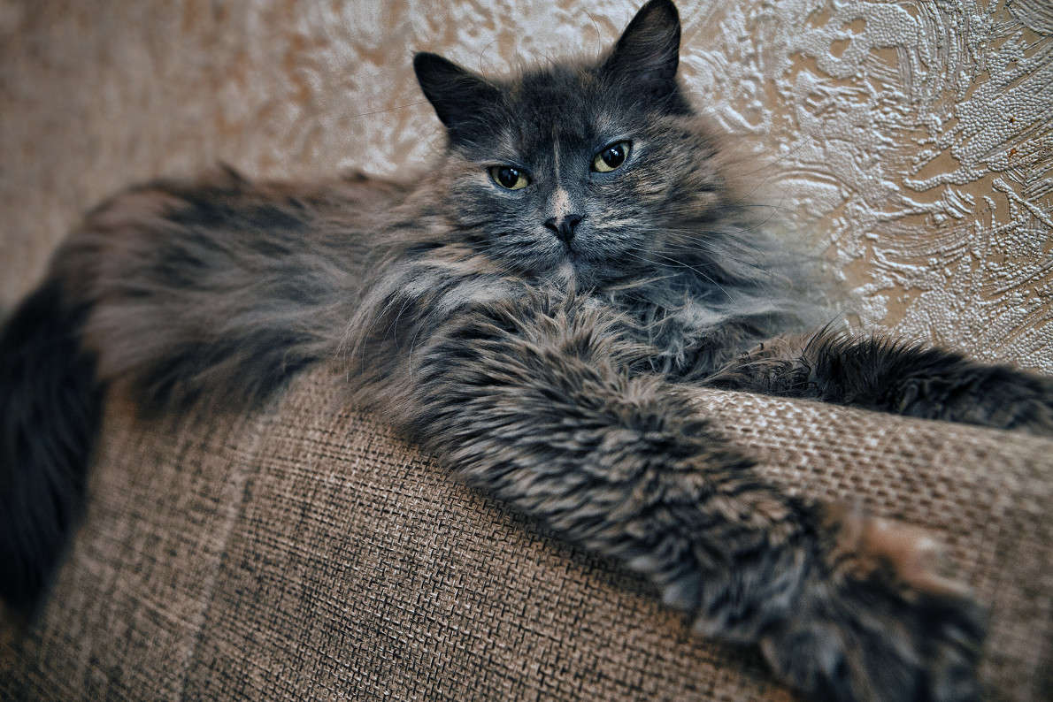 �������� ����� ������ ������� �� PhotoGeek.ru #�������� ��� #������� #�������� ���