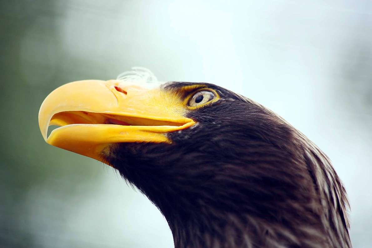 ... ����� ����� ������� �� PhotoGeek.ru #�������� ��� #����� ��� ��� ���������