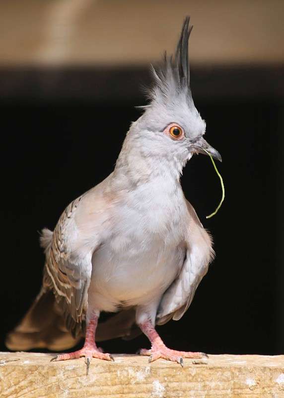 ... ����� ����� ������� �� PhotoGeek.ru #�������� ��� #����� ��� ��� ���������