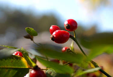 ... ����� Rina Night �� PhotoGeek.ru #������ ��� �������