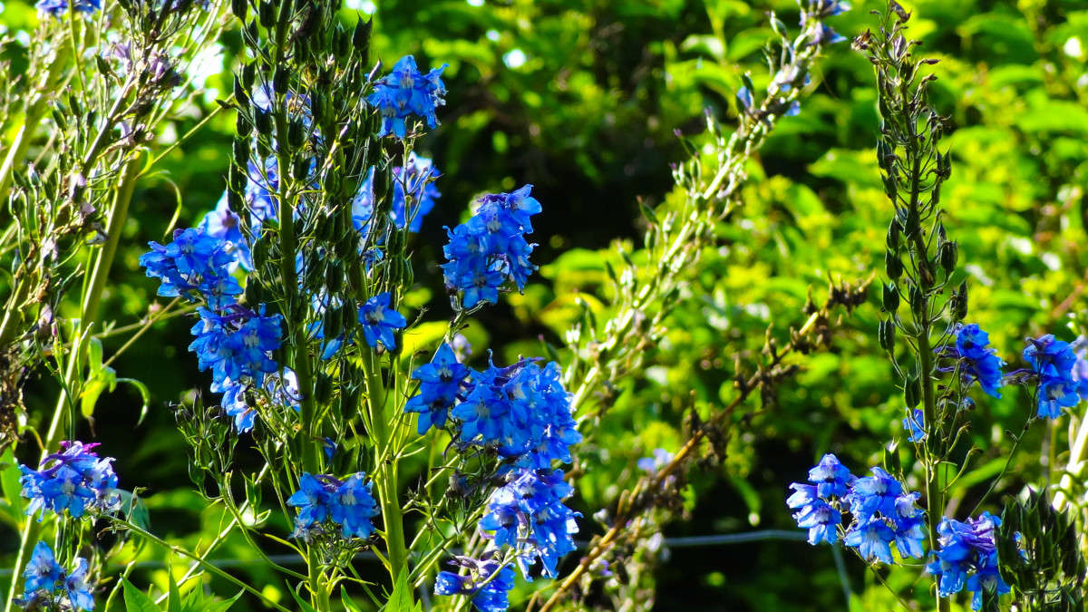 ... ����� ��������� ����� �� PhotoGeek.ru #������ ��� �������