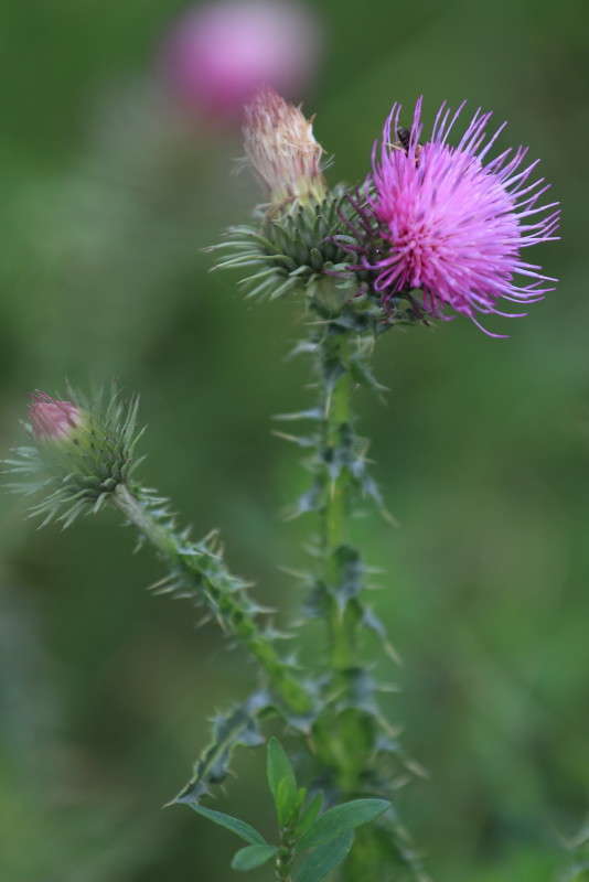 ������� �������� ����� ������ ������� �� PhotoGeek.ru #������ ��� �������