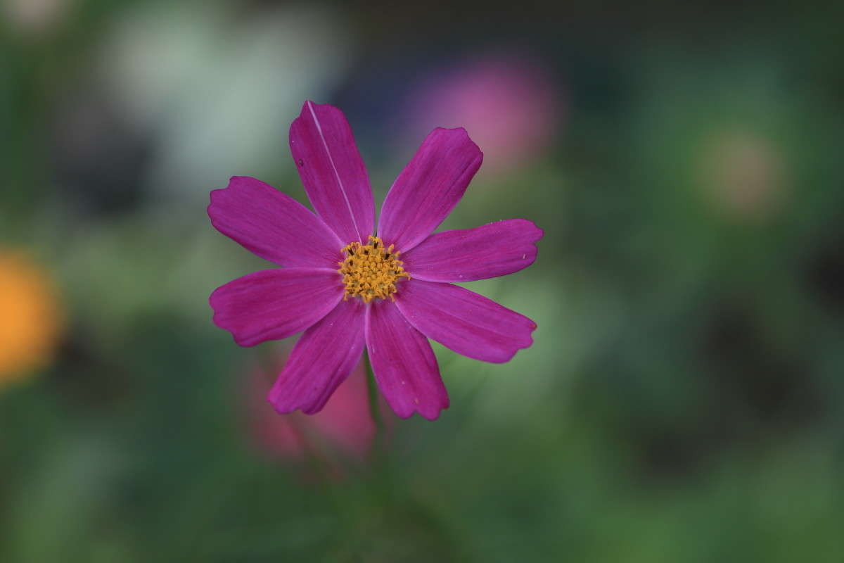 ... ����� ������ ������� �� PhotoGeek.ru #������ ��� �������