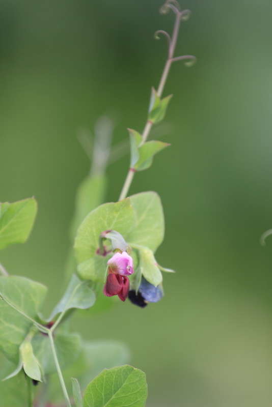 ... ����� ������ ������� �� PhotoGeek.ru #������ ��� �������