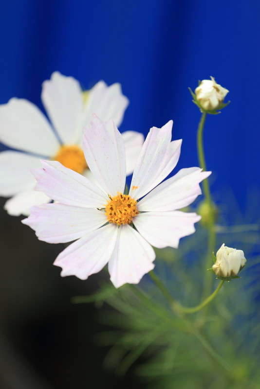 ... ����� ������ ������� �� PhotoGeek.ru #������ ��� �������