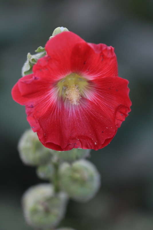 ... ����� ������ ������� �� PhotoGeek.ru #������ ��� �������