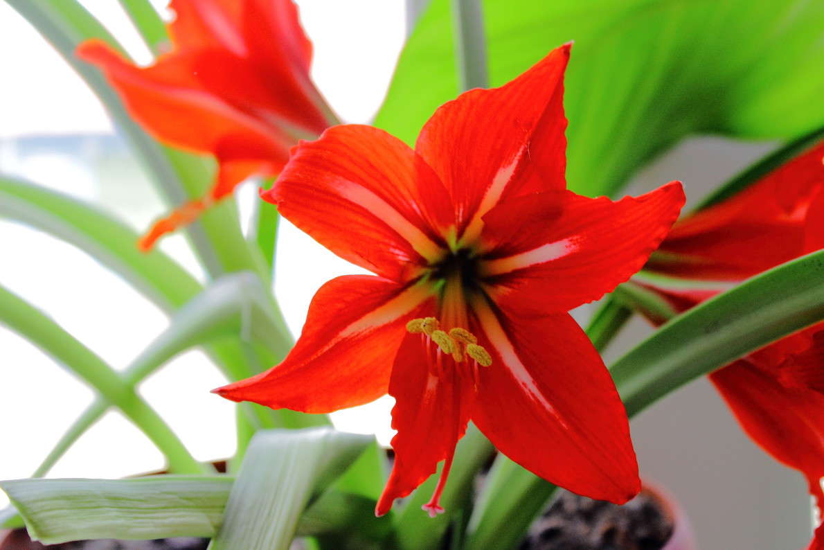 "���� �����"))))) ����� ������ ������� �� PhotoGeek.ru #�����