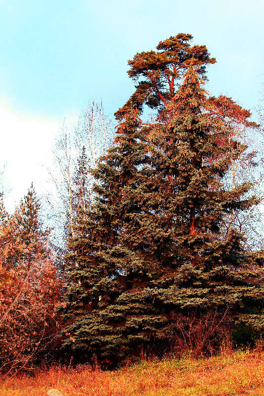 ... ����� ������ ������� �� PhotoGeek.ru #������ ��� �������