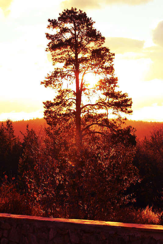 ... ����� ������ ������� �� PhotoGeek.ru #������ ��� �������