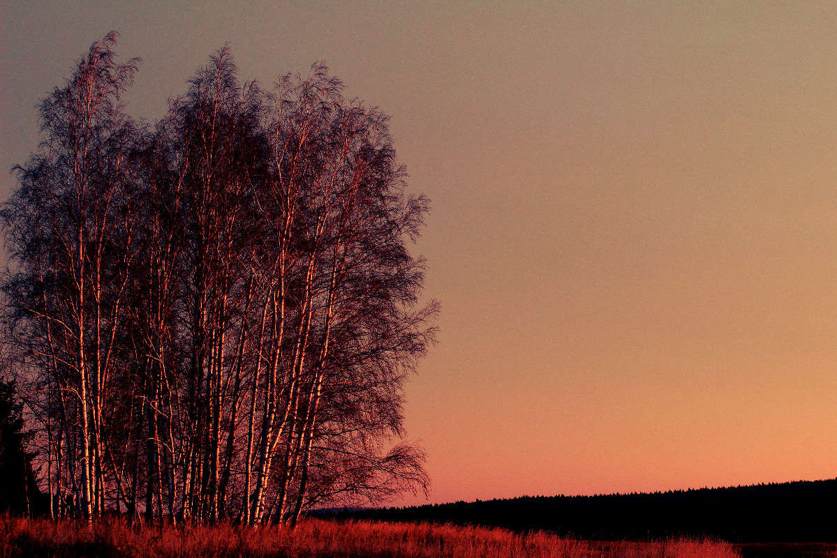 ������ ���� ����� ������ ������� �� PhotoGeek.ru #������ ��� �������