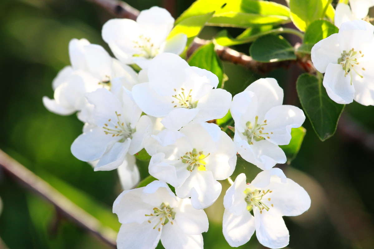 ��������� ���� ����� ������ ������� �� PhotoGeek.ru #������ ��� �������