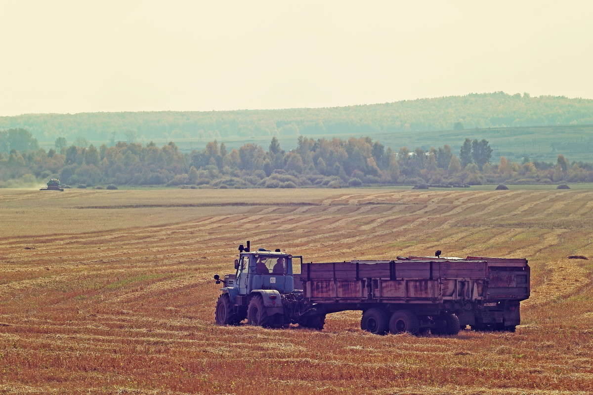 ... ����� ������ ������� �� PhotoGeek.ru #������ ��� �������