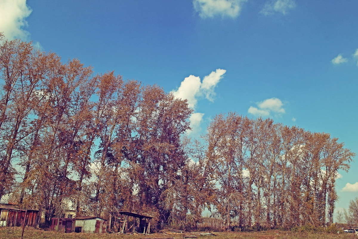 ... ����� ������ ������� �� PhotoGeek.ru #������ ��� �������