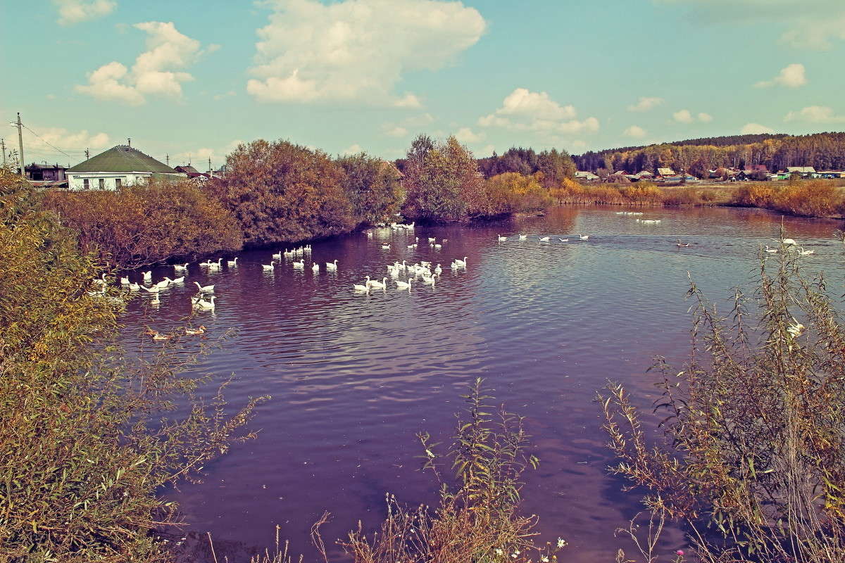 ... ����� ������ ������� �� PhotoGeek.ru #������ ��� �������