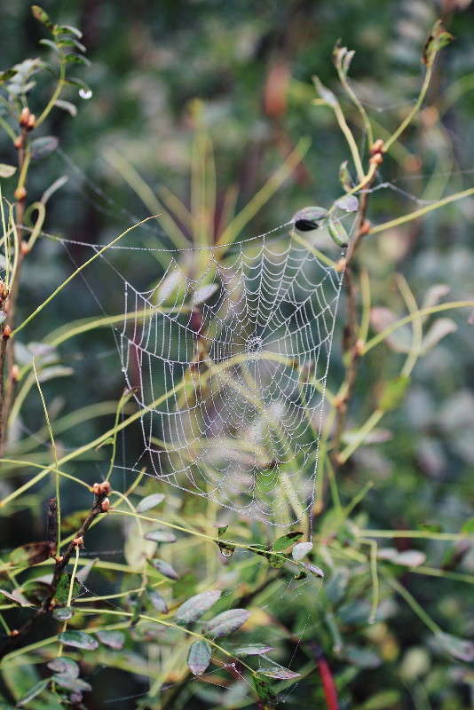 ... ����� ������ ������� �� PhotoGeek.ru #������ ��� �������