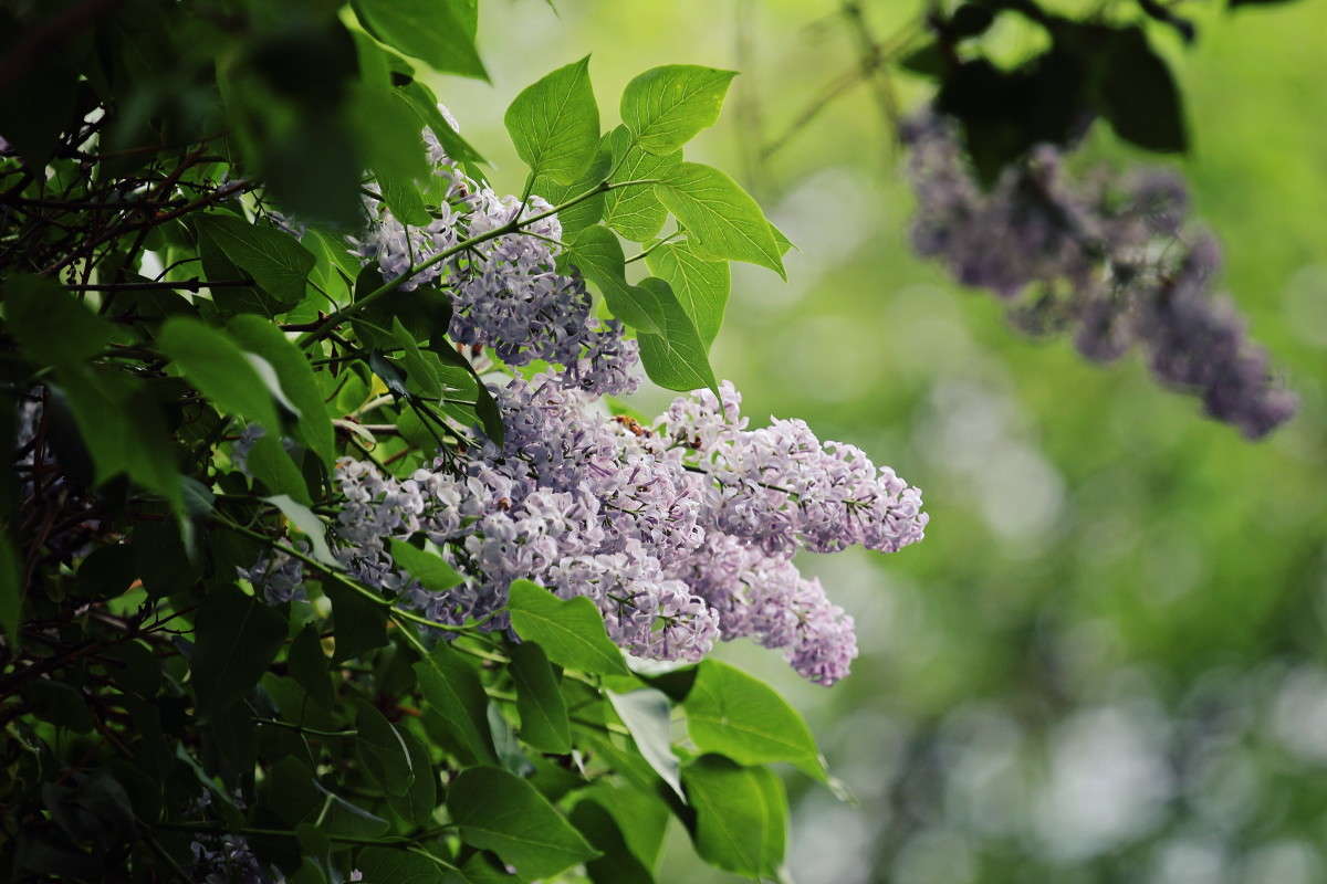 ��� ������� �����) ����� ������ ������� �� PhotoGeek.ru #������ ��� �������