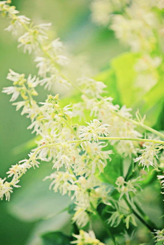 ... ����� ������ ������� �� PhotoGeek.ru #������ ��� �������