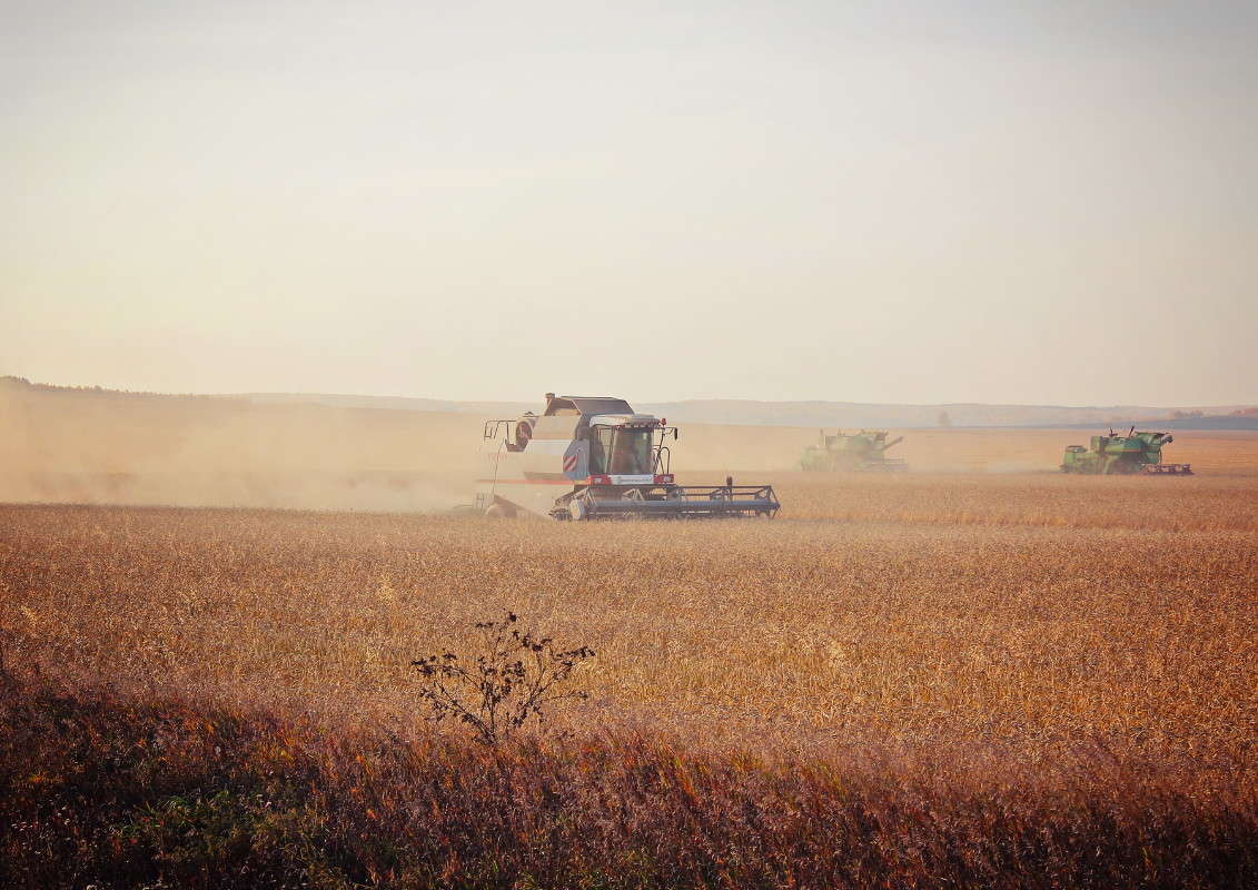 World of harvesters ����� ������ ������� �� PhotoGeek.ru #������ ��� �������