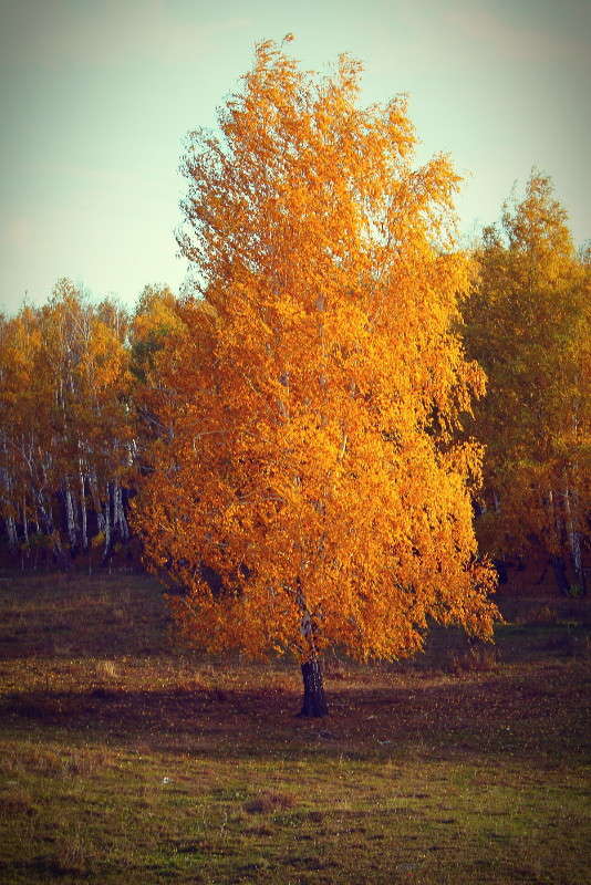 ... ����� ������ ������� �� PhotoGeek.ru #������ ��� �������