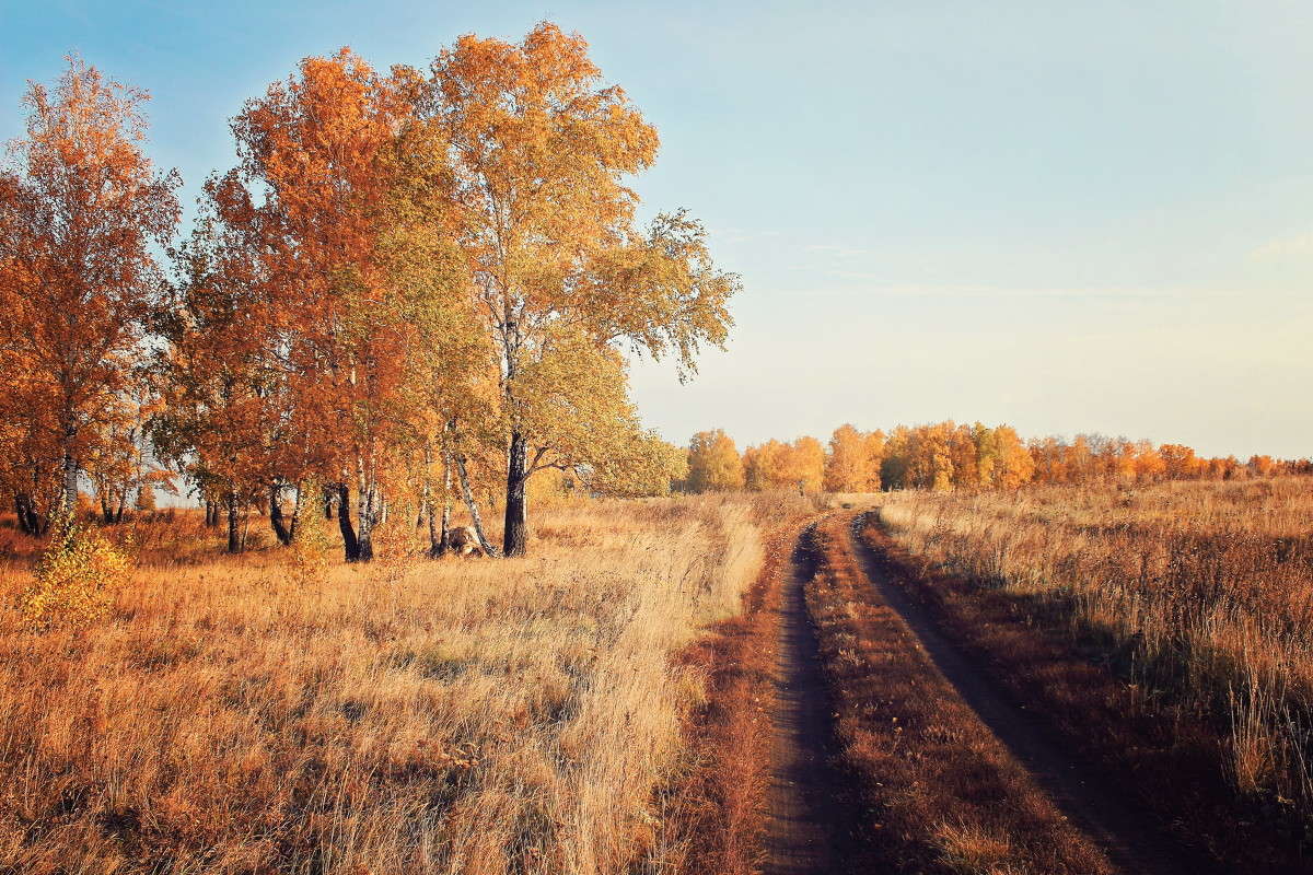 ... ����� ������ ������� �� PhotoGeek.ru #������ ��� �������