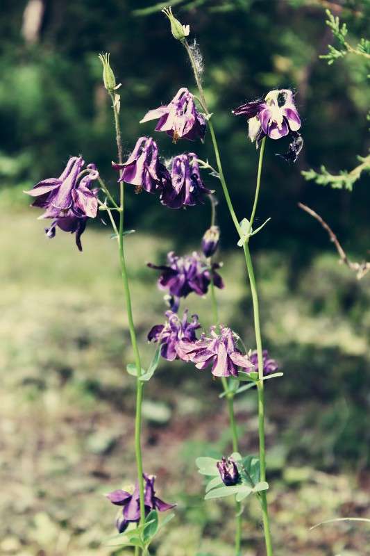 2011 ����� ����� ������������ �� PhotoGeek.ru #�������� ��� #������ ��� ������� #�������� ����������