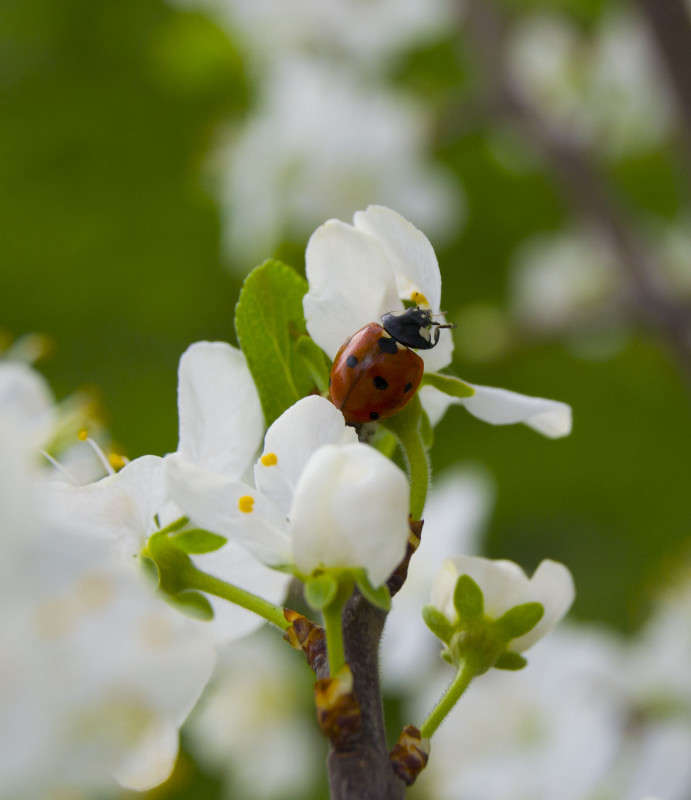 ... ����� ����� ������������ �� PhotoGeek.ru #�������� ���