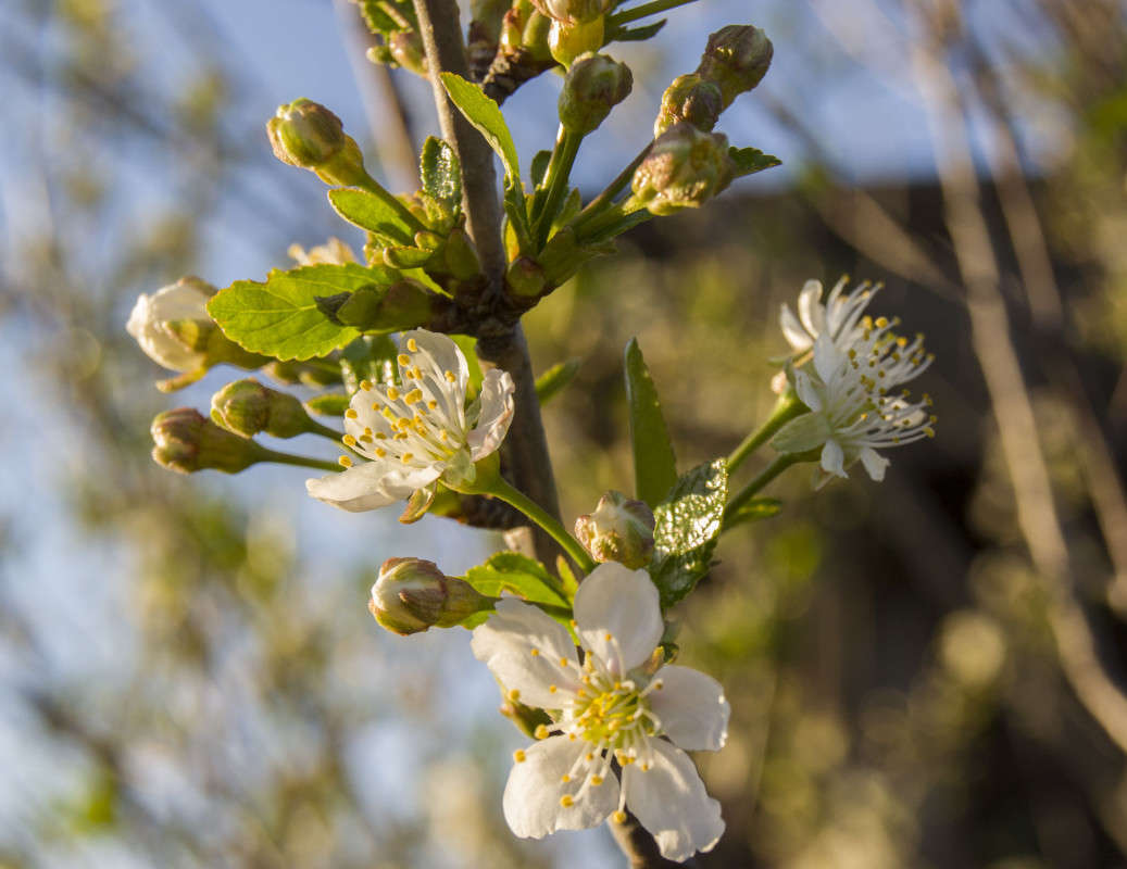 ����� ����� ����� ������������ �� PhotoGeek.ru #����� #������ ��� �������