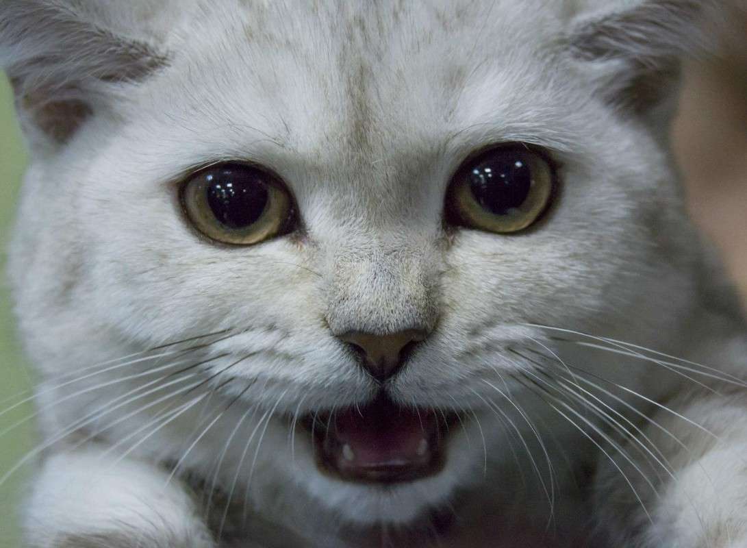 ���� ����� ����� ������������ �� PhotoGeek.ru #�������� ���