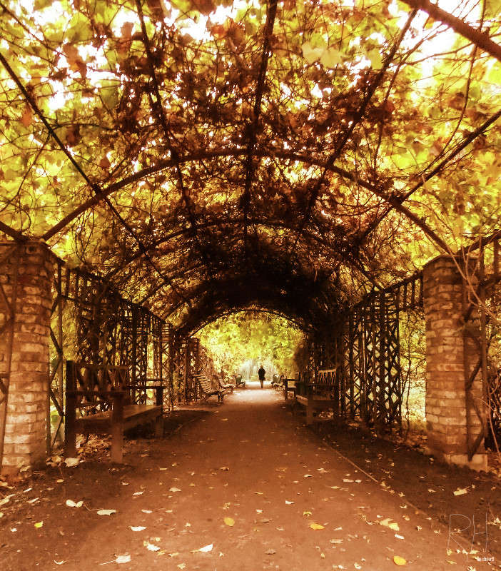 Botanical garden ����� Sergey  �� PhotoGeek.ru #������ ��� ������� #����� ��������������