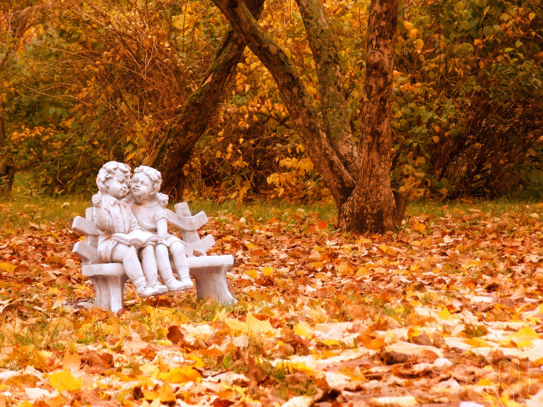 Park ����� Sergey  �� PhotoGeek.ru #������ ��� ������� #������